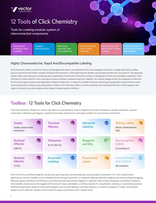 12 Tools