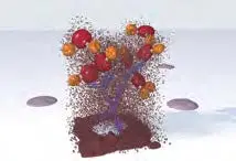 3 Enzyme Substrate