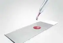 4 Nuclear Counterstain