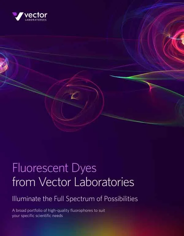 Fluorescentdyesfromvl
