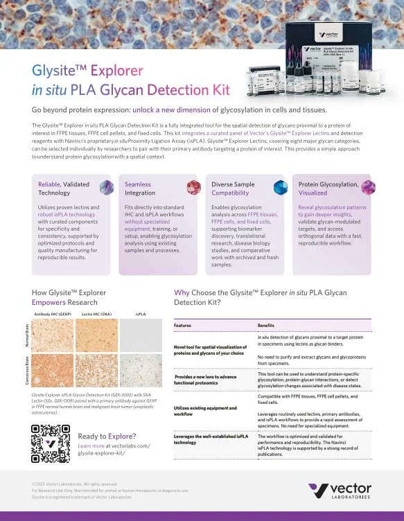 Glysite Explorer In Situ Pla Glycan Detection Kit And Glysite Explorer Lectins