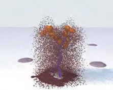 Immpress Polymer Kits Add Enzyme Substrate