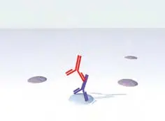 Immpress 2 Step Add Amplifier Antibody