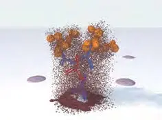 Immpress 2 Step Add Enzyme Substrate