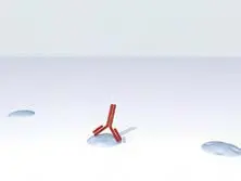 Multiple Antigen Label Immpress1