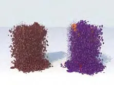 Multiple Antigen Label Immpress6