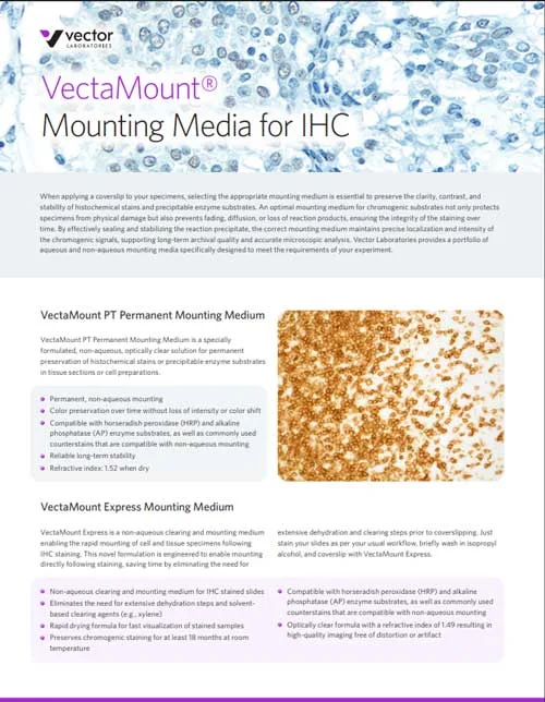 Vectamount Mounting Media Forihc
