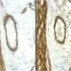 101309 3536 2 jpg
