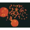 Goat Anti-Fluorescein, Biotinylated