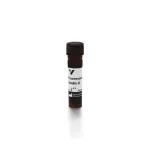 Fluorescein Avidin D, Fitc