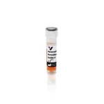 Horseradish Peroxidase Avidin D (Av-Hrp)