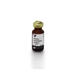 Alkaline Phosphatase Avidin D