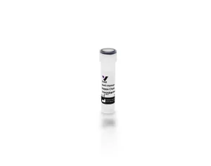 Goat Anti-Human Antibody, Kappa Chain, Unconjugated