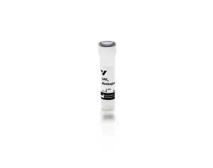 Galanthus Nivalis Lectin (GNL), Biotinylated