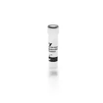 Ba 0074 .5 Goat Anti Peanut Agglutinin Pna Biotinylated
