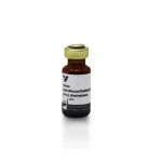 Horse Anti-Mouse/Rabbit/Goat Igg Antibody (H+L) (Universal Pan-Specific), Biotinylated