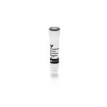 Horse Anti-Mouse Igg Antibody, Rat Adsorbed (H+L), Biotinylated