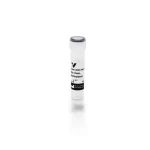 Goat Anti-Human Igm Antibody, Mu Chain Specific, Biotinylated