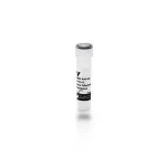 Rabbit Anti-Rat Igg Antibody, Mouse Adsorbed (H+L), Biotinylated