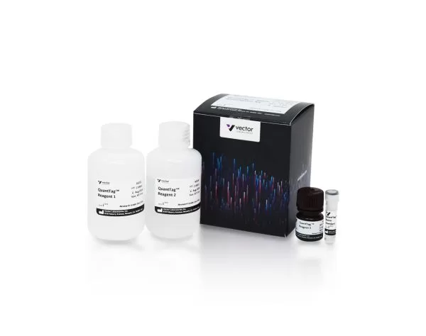 Quanttag™ Biotin Quantitation Kit