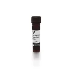Goat Anti-Human Kappa Chain Antibody, Amca