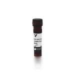 Goat Anti-Human Lambda Chain Antibody, Amca