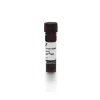 Horse Anti-Rabbit IgG Antibody (H+L), DyLight™ 488