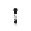 Horse Anti-Rabbit IgG Antibody (H+L), DyLight™ 594