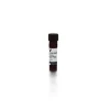 Goat Anti-Rabbit IgG Antibody (H+L), DyLight™ 488