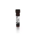 Goat Anti-Rabbit Igg Antibody (H+L), Dylight™ 649