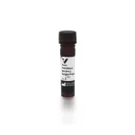 Horse Anti-Mouse Igg Antibody (H+L), Dylight™ 649