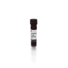 Horse Anti-Goat IgG Antibody (H+L), DyLight™ 594