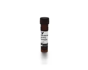 Goat Anti-Rabbit IgG Antibody (H+L), Fluorescein