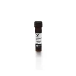 Horse Anti-Mouse Igg Antibody (H+L), Fluorescein