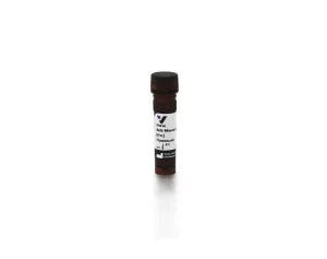 Horse Anti-Mouse IgG Antibody (H+L), Fluorescein