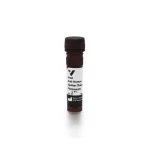 Goat Anti-Human Ige, Epsilon Chain Specific, Fluorescein