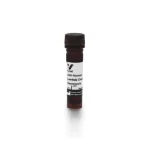 Goat Anti-Human Lambda Chain Antibody, Fluorescein