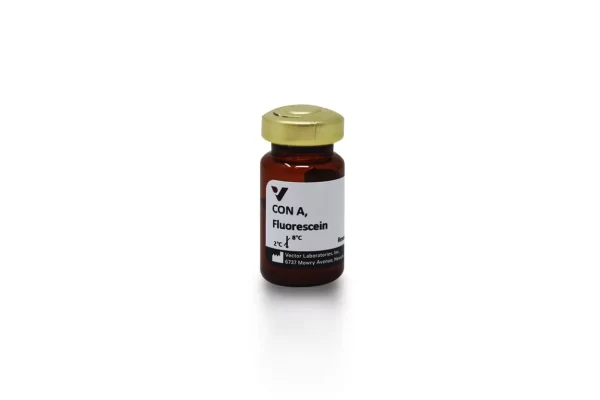 Concanavalin A (Con A), Fluorescein