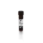Datura Stramonium Lectin (Dsl), Fluorescein