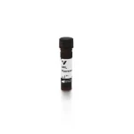 Galanthus Nivalis Lectin (Gnl), Fluorescein