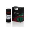 VECTASHIELD® HardSet™ Antifade Mounting Medium with DAPI