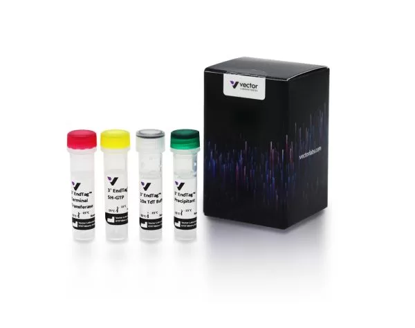 3' Endtag™ Dna End Labeling System