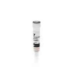 Goat Anti-Rabbit Igg Antibody (H+L), Peroxidase