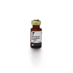 Goat Anti-Rat Igg, Mouse Adsorbed, Antibody (H+L), Peroxidase