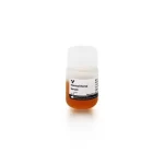 Normal Horse Serum Blocking Solution