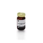 N-Acetylglucosamine
