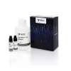ImmPACT® SG Substrate Kit, Peroxidase (HRP)