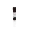 Fluorescein Maleimide