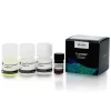 Vector® TrueVIEW® Autofluorescence Quenching Kit with DAPI