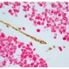 Tonsil (paraffin): ImmPRESS Duet Kit (MP-7724) used to detect mouse anti- CD34 (ImmPACT DAB, brown) and rabbit anti-Ki67 (ImmPACT Vector® Red, magenta) antibodies.